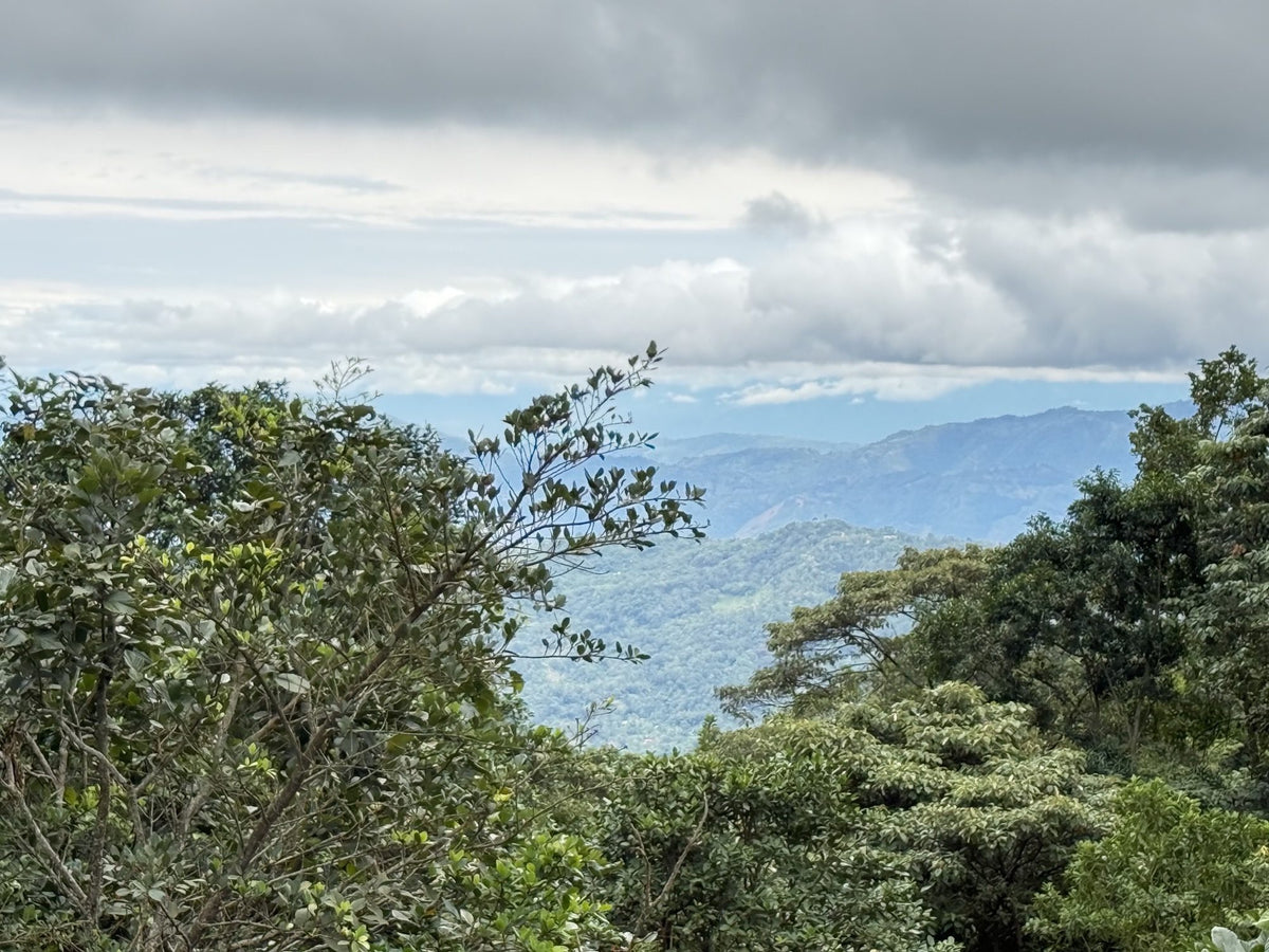 Colombia El Congo