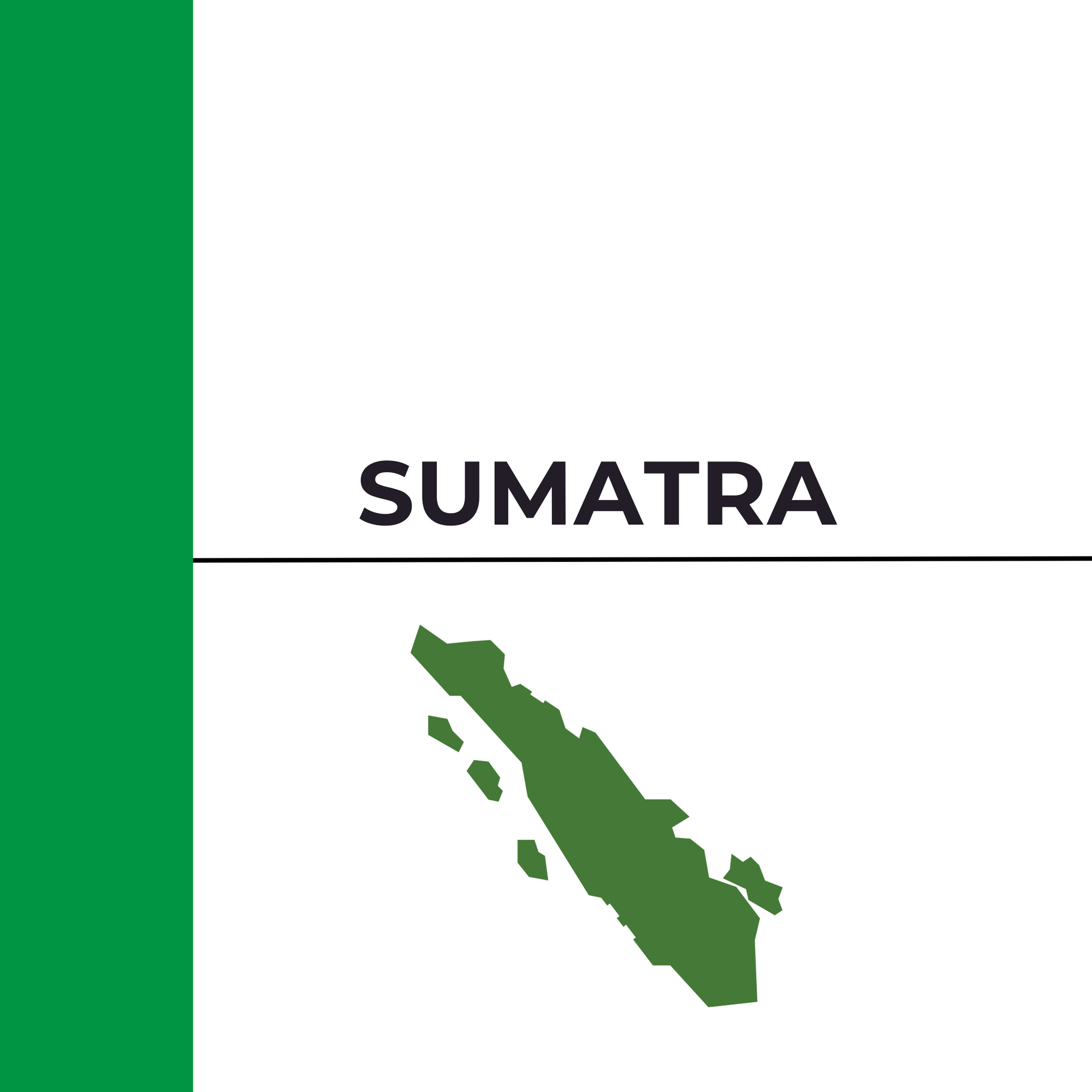Sumatra Mandheling Gd1 Trp